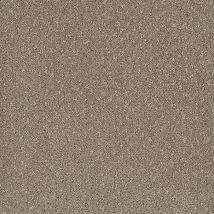 Capri Polyester Warm Sand 6339 Carpet Loop 1
