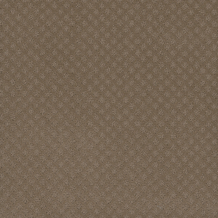 Capri Polyester Deer Path 6564 Carpet Loop 1