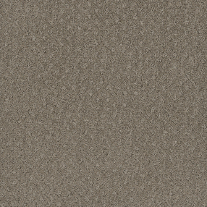 Capri Polyester Timber Ridge 6841 Carpet Loop 1