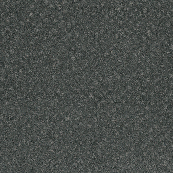 Capri Polyester Onyx Waves 890 Carpet Loop 1