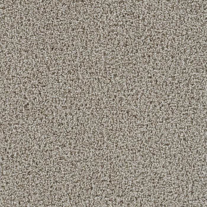 Tracker Polyester Cameo 174 Carpet Textured 1