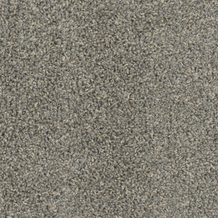 Tracker Polyester Stonehenge 388 Carpet Textured 1