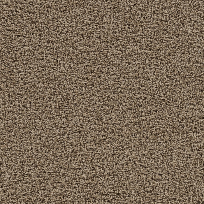 Tracker Polyester Honey Beige 510 Carpet Textured 1