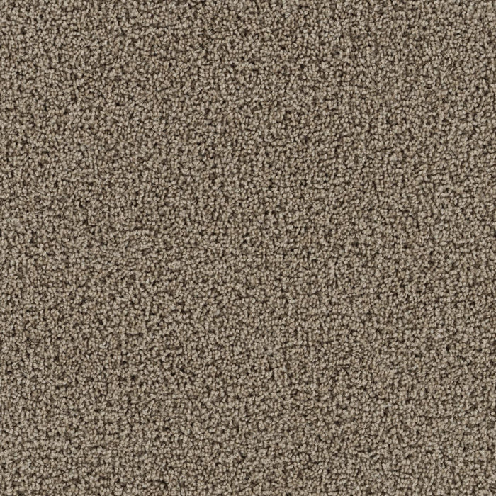 Tracker Polyester Doeskin 530 Carpet Textured 1