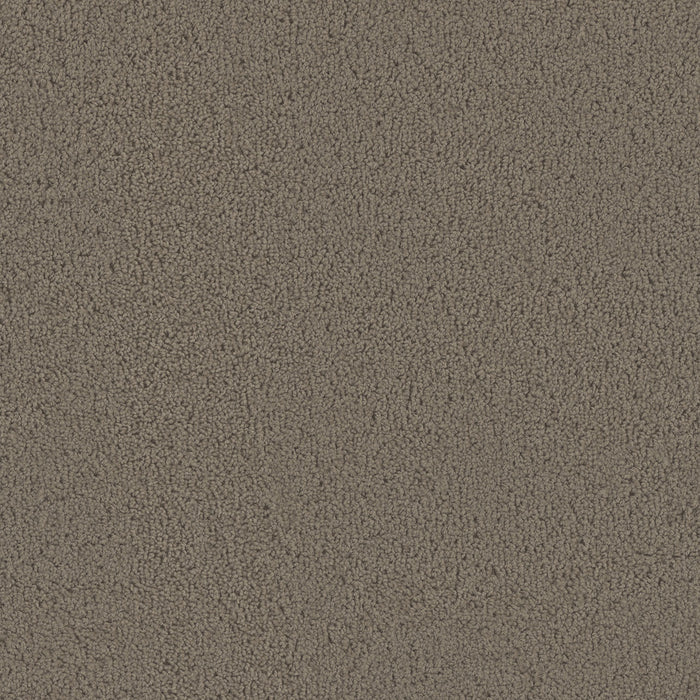 Tracker Polyester Barnwood 550 Carpet Textured 1