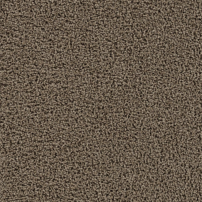 Tracker Polyester Taupe 565 Carpet Textured 1