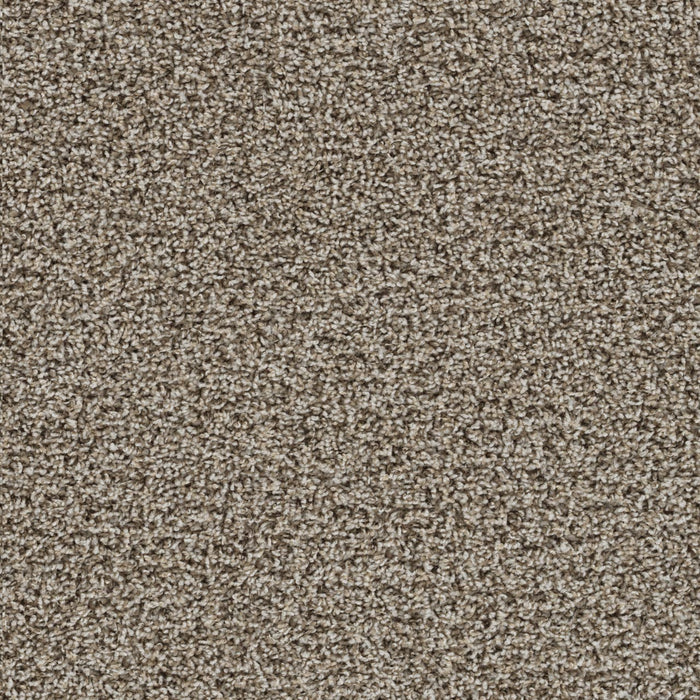 Tracker Polyester Almond 782 Carpet Textured 1