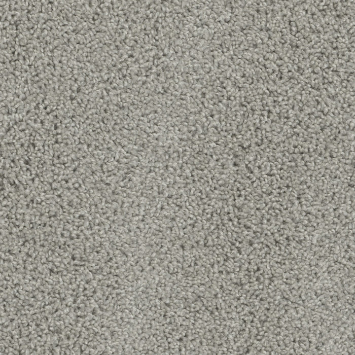Tracker Polyester Dove 800 Carpet Textured 1