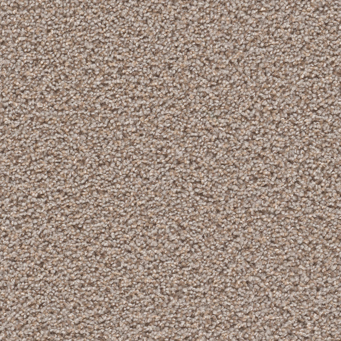Tracker Polyester Azure 803 Carpet Textured 1