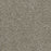 Tracker Polyester Cinder 835 Carpet Textured 1