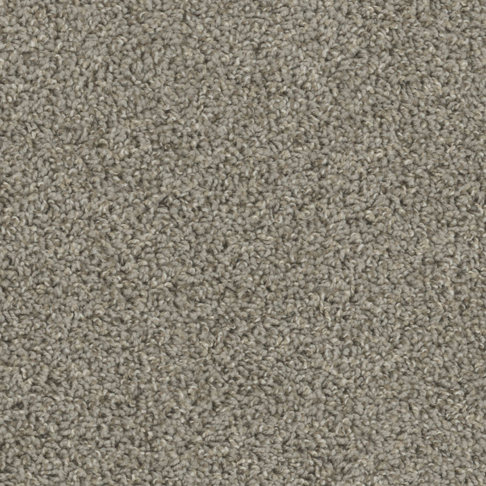 Tracker Polyester Cinder 835 Carpet Textured 1