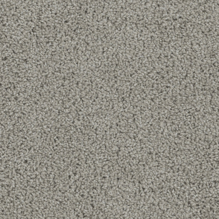 Tracker Polyester Chrome 927 Carpet Textured 1