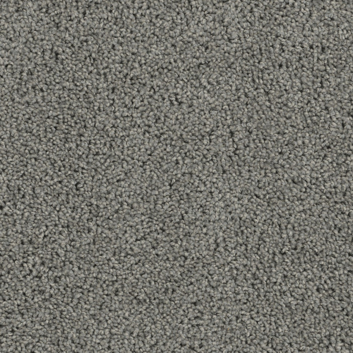 Tracker Polyester Bayside 956 Carpet Textured 1