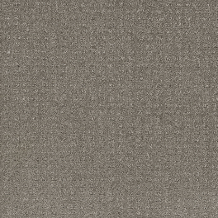 Caspian Polyester Stratosphere 6054 Carpet Loop 1