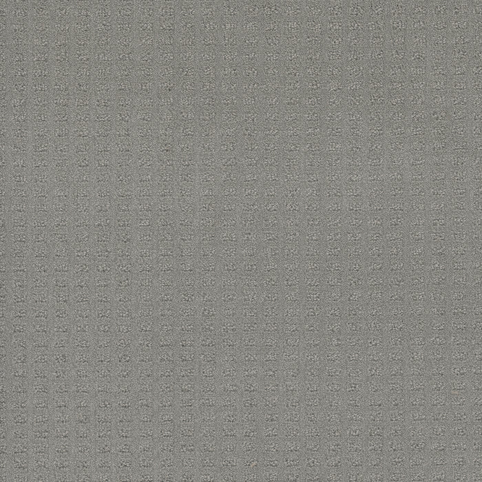 Caspian Polyester Icefield 620 Carpet Loop 1
