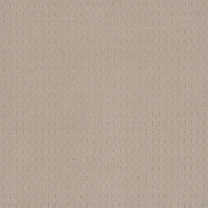 Caspian Polyester Champagne Fizz 6309 Carpet Loop 1