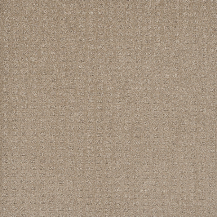 Caspian Polyester Soft Pine 6317 Carpet Loop 1