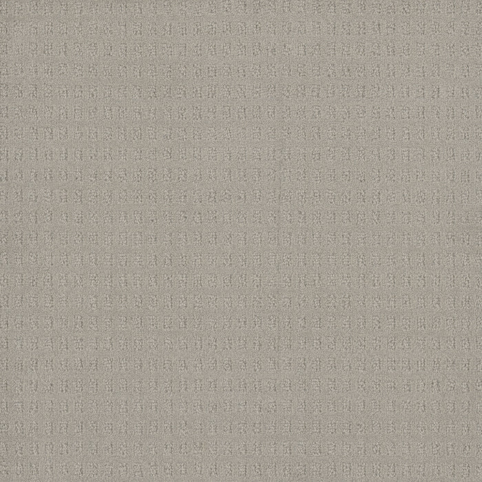Caspian Polyester Snow Cap 6319 Carpet Loop 1