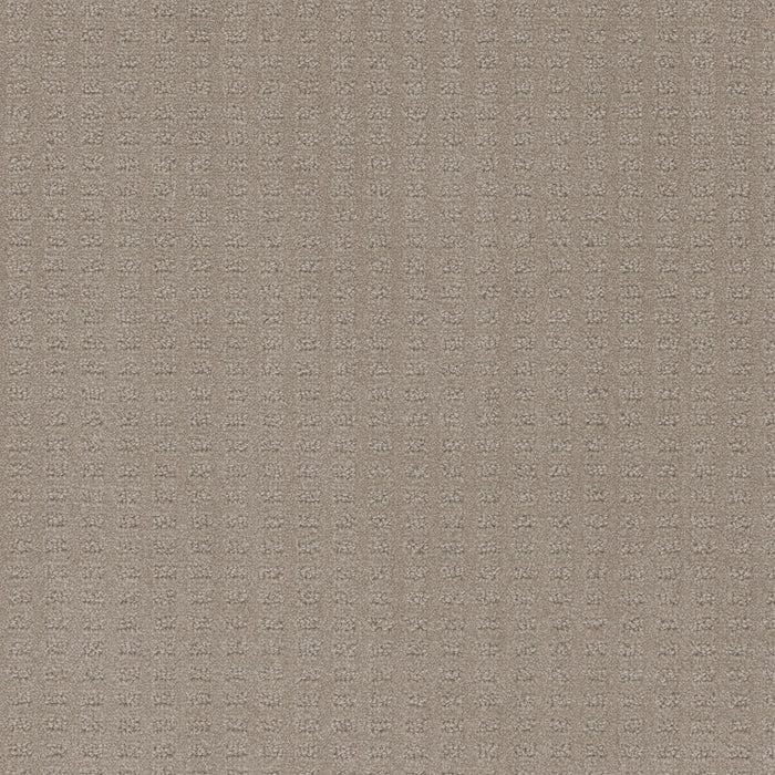 Caspian Polyester Warm Sand 6339 Carpet Loop 1