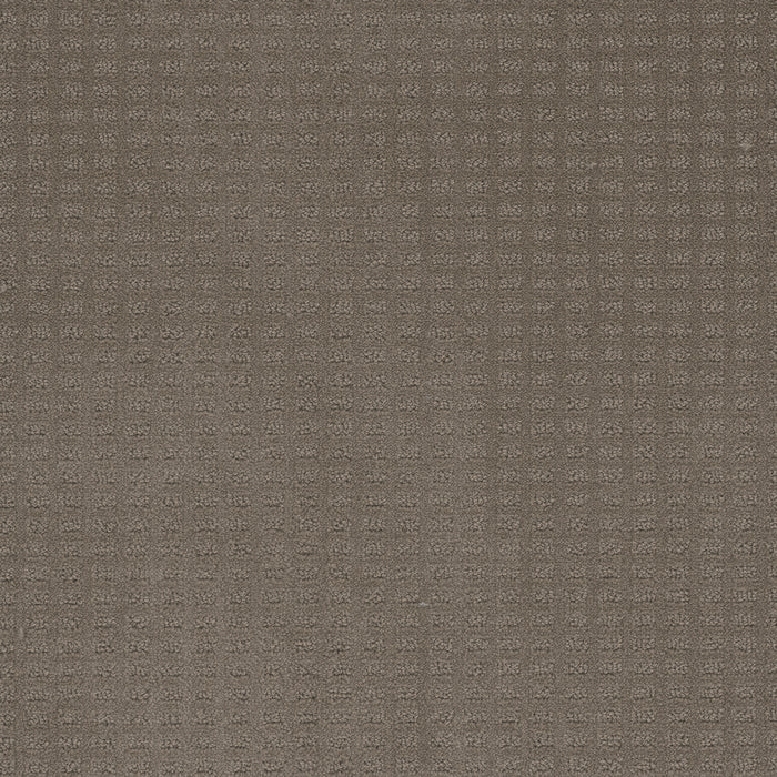 Caspian Polyester Topaz 6410 Carpet Loop 1
