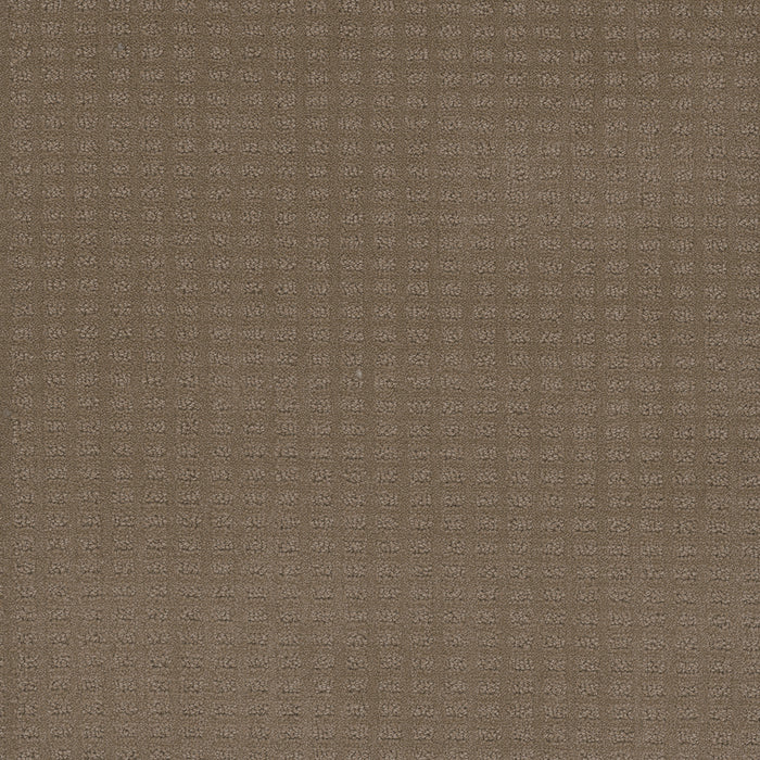 Caspian Polyester Deer Path 6564 Carpet Loop 1