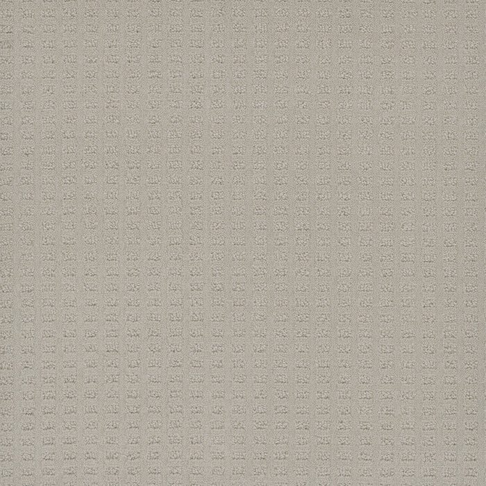 Caspian Polyester Cloud Nine 6809 Carpet Loop 1