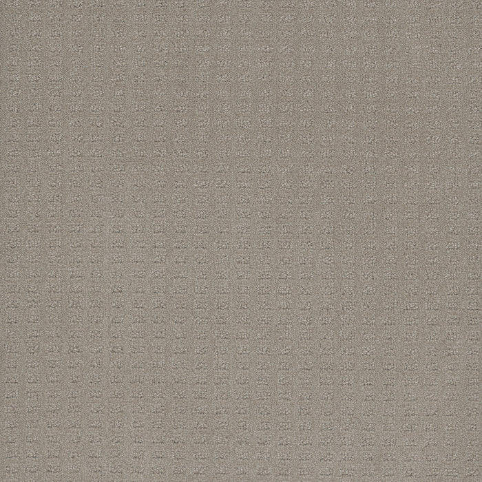 Caspian Polyester Arrowhead 6827 Carpet Loop 1