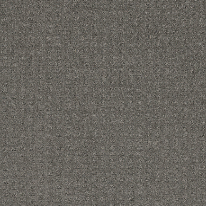 Caspian Polyester Timber Ridge 6841 Carpet Loop 1
