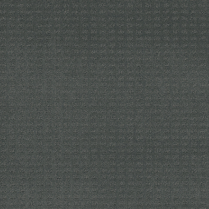 Caspian Polyester Onyx Waves 890 Carpet Loop 1
