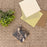 Caspian Polyester Warm Sand 6339 Carpet Loop 2
