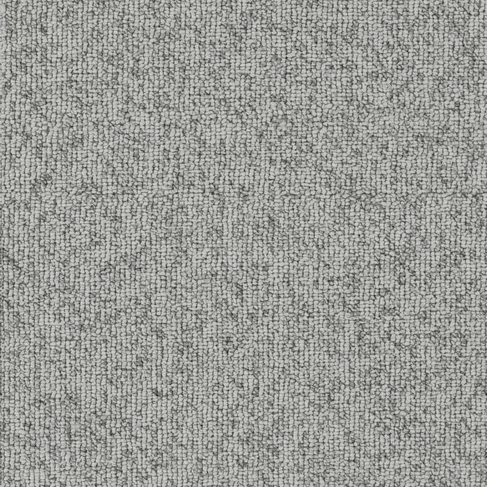 Astro Polyester Pale Sky 4380 Carpet Loop 1