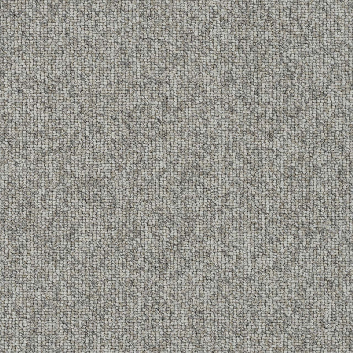 Astro Polyester Russet 4630 Carpet Loop 1