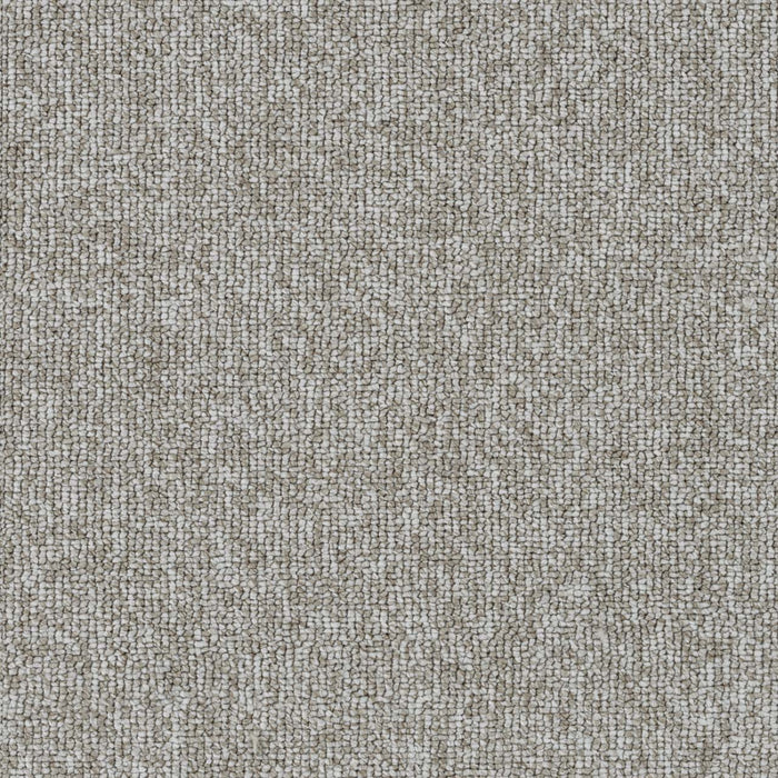 Astro Polyester Toast 4635 Carpet Loop 1