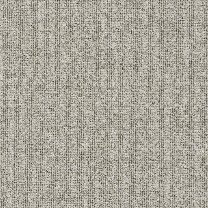Astro Polyester Chestnut 4659 Carpet Loop 1