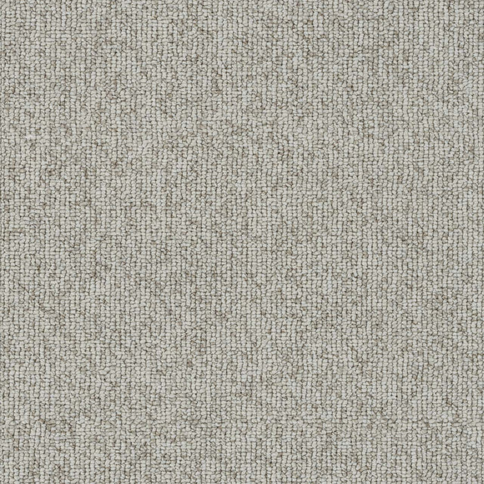 Astro Polyester Cashmere 4663 Carpet Loop 1
