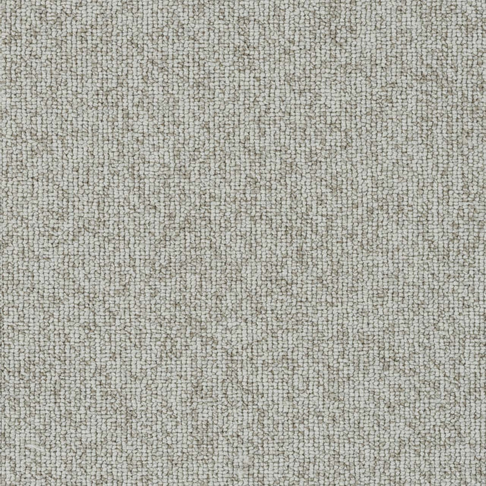 Astro Polyester Goose Down 4665 Carpet Loop 1