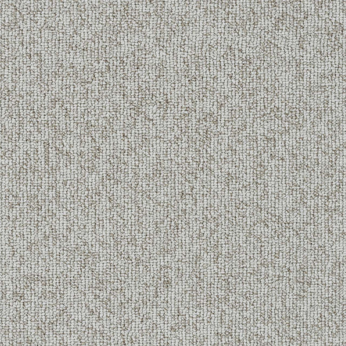Astro Polyester Haze 4713 Carpet Loop 1