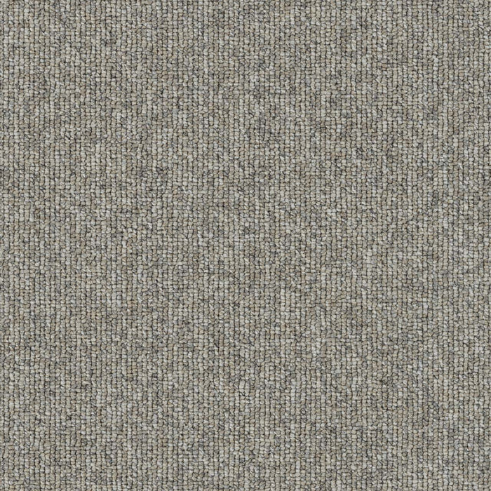 Astro Polyester Cocoa 4727 Carpet Loop 1