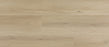 Celestial Vinyl Antares Luxury Vinyl Plank Embossed 1