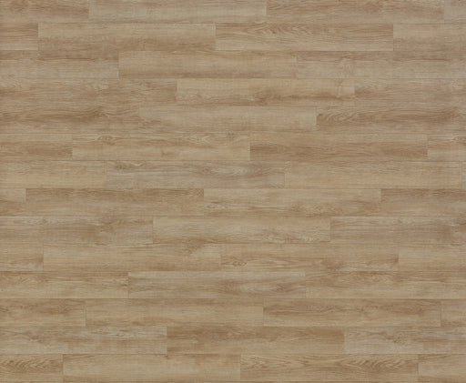 Concepts of Landscape Natural Heterogeneous Sheet Vinyl - Polyurethane