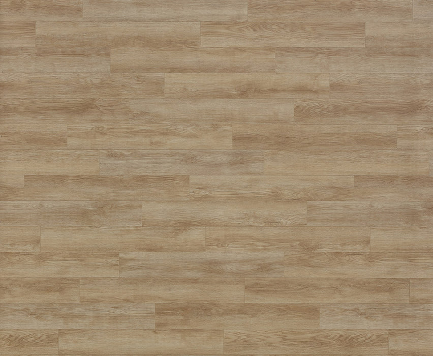 Concepts of Landscape Natural Heterogeneous Sheet Vinyl - Polyurethane
