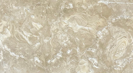 Full Tile Sample - Ocean Reef Shellstone Limestone Paver - 6" x 12" x 3 CM Brushed & Tumbled