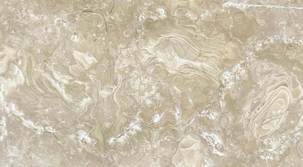 Tumbled Shellstone Ocean Reef Shellstone Brushed & Tumbled Limestone Paver | Lowest Price ...