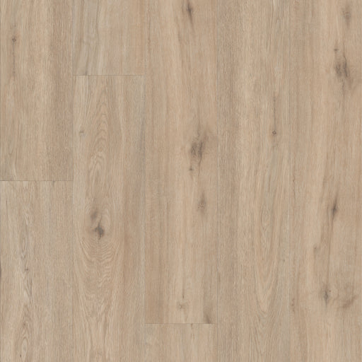 Pantheon Hd Plus Vinyl Sabbia Resilient Luxury Vinyl Plank ScufResist 1