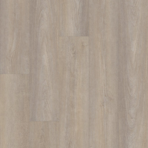 Pantheon Hd Plus Vinyl Cenere Resilient Luxury Vinyl Plank ScufResist 1