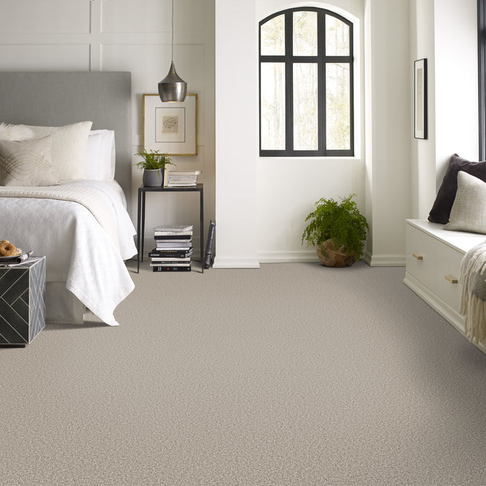 Bella Nova Nylon Misty Dawn 00151 Carpet Textured 4
