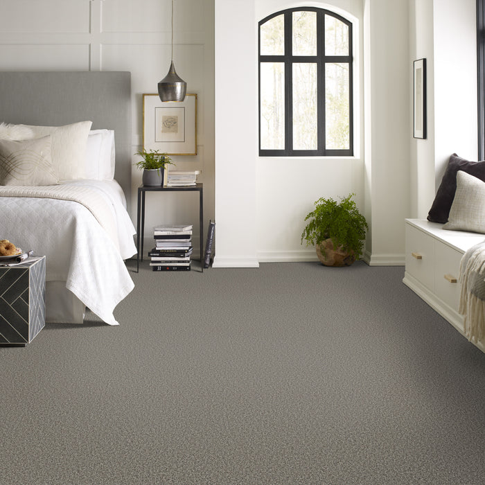 Bella Nova Nylon Sable 00550 Carpet Textured 4