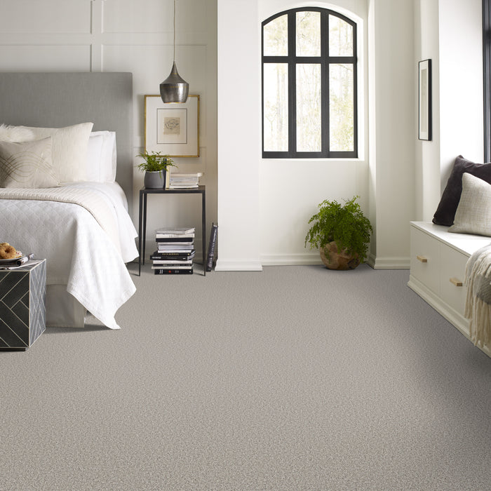 Bella Nova Nylon Platinum 00552 Carpet Textured 4