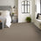 Arden Park Nylon Taupe Gray 00757 Carpet Loop 4