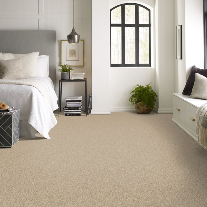 Bella Nova Nylon Beach Grass 00223 Carpet Textured 4